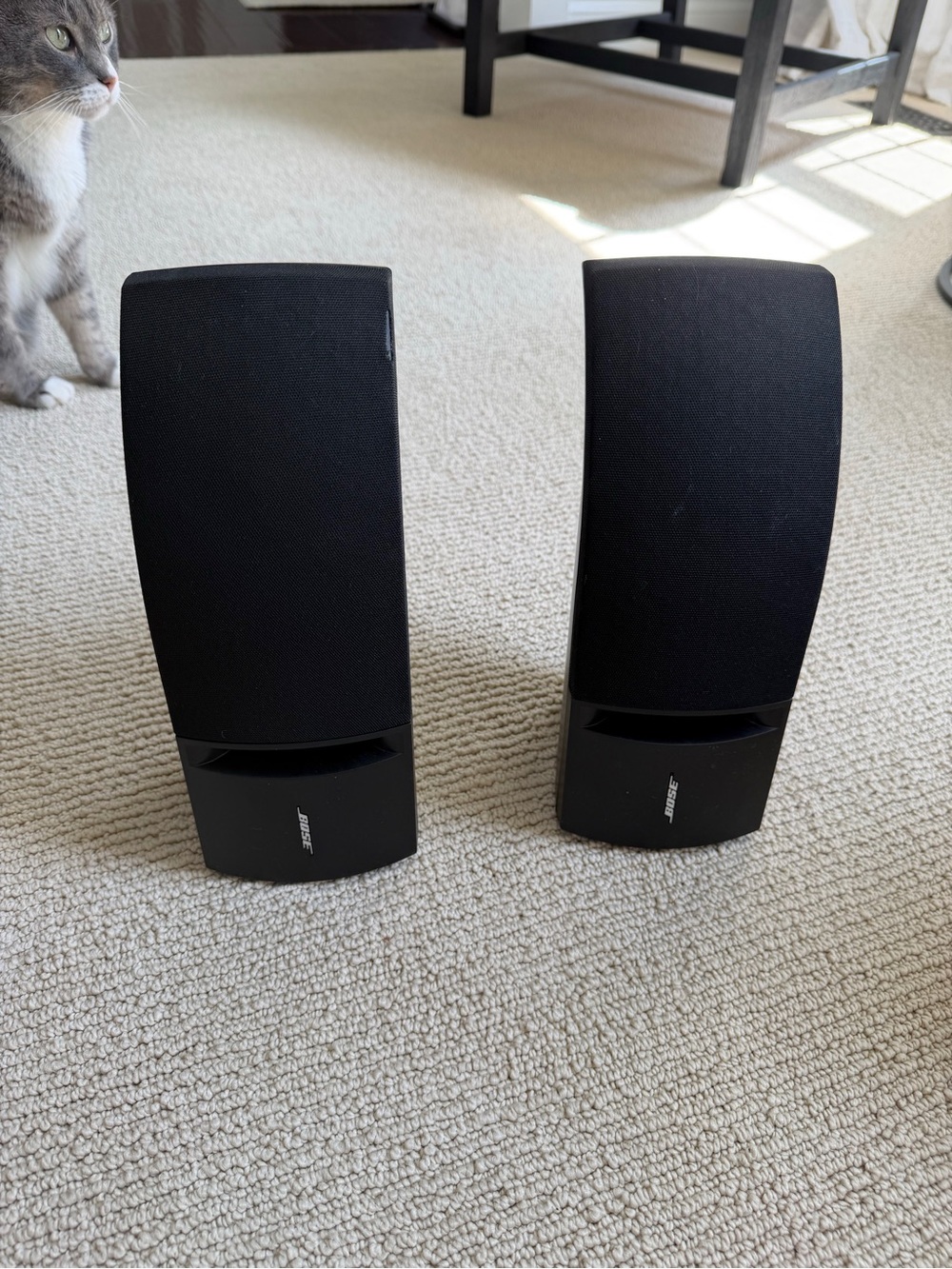 Bose Black Compact Stereo Speakers - Pair